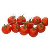 Tomatoes Tomatoes