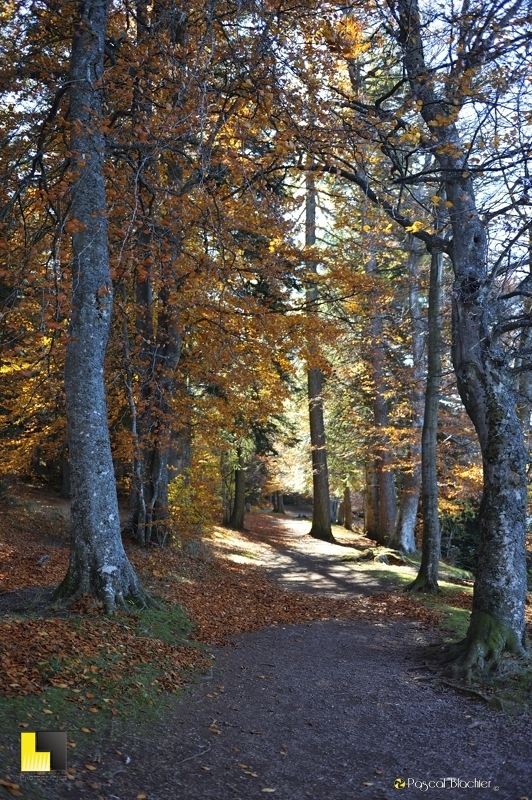 le sentier du lac du bouchet en automne photo pascal blachier