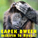 DP BBM Bergerak Lucu Capek dech DP BBM Bergerak Lucu Capek dech