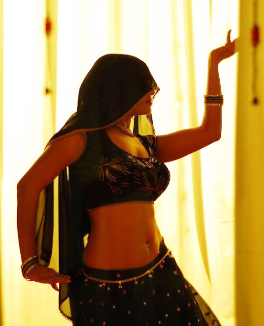 hot tamil movie actress navel show photos