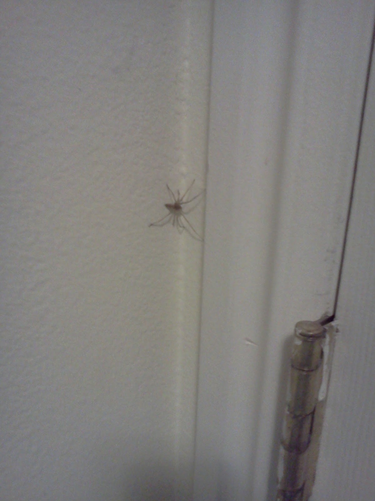 inaprovopriate look at this