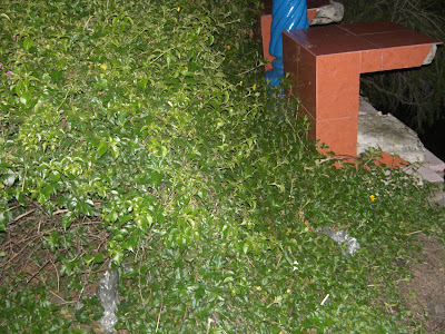 Cảnh này ở đâu ? - 15