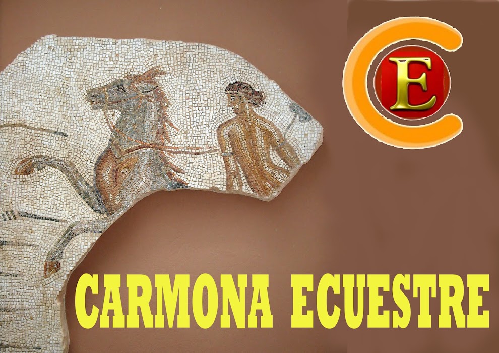 Carmona Ecuestre