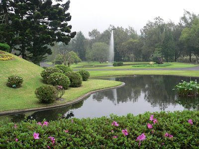 foto taman kebun raya gambar taman kebun raya