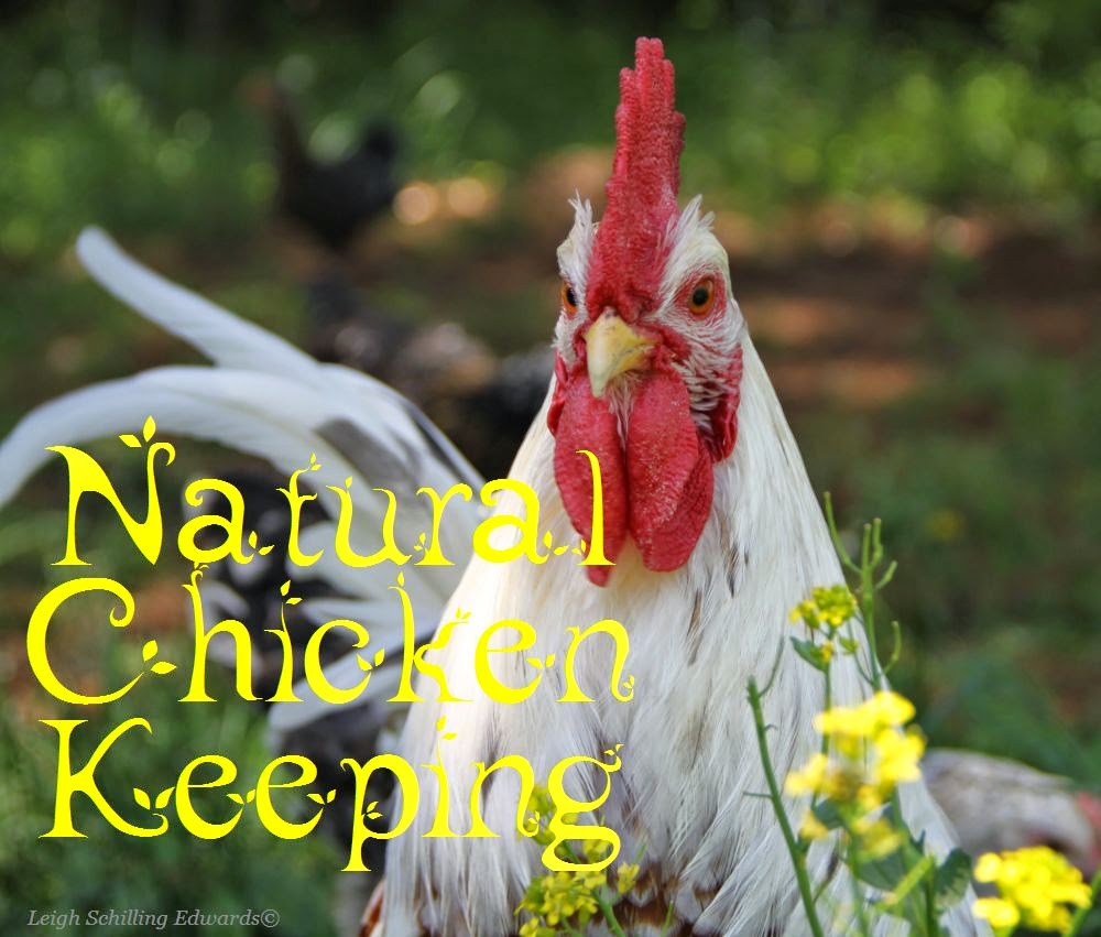 Natural Chicken Keeping