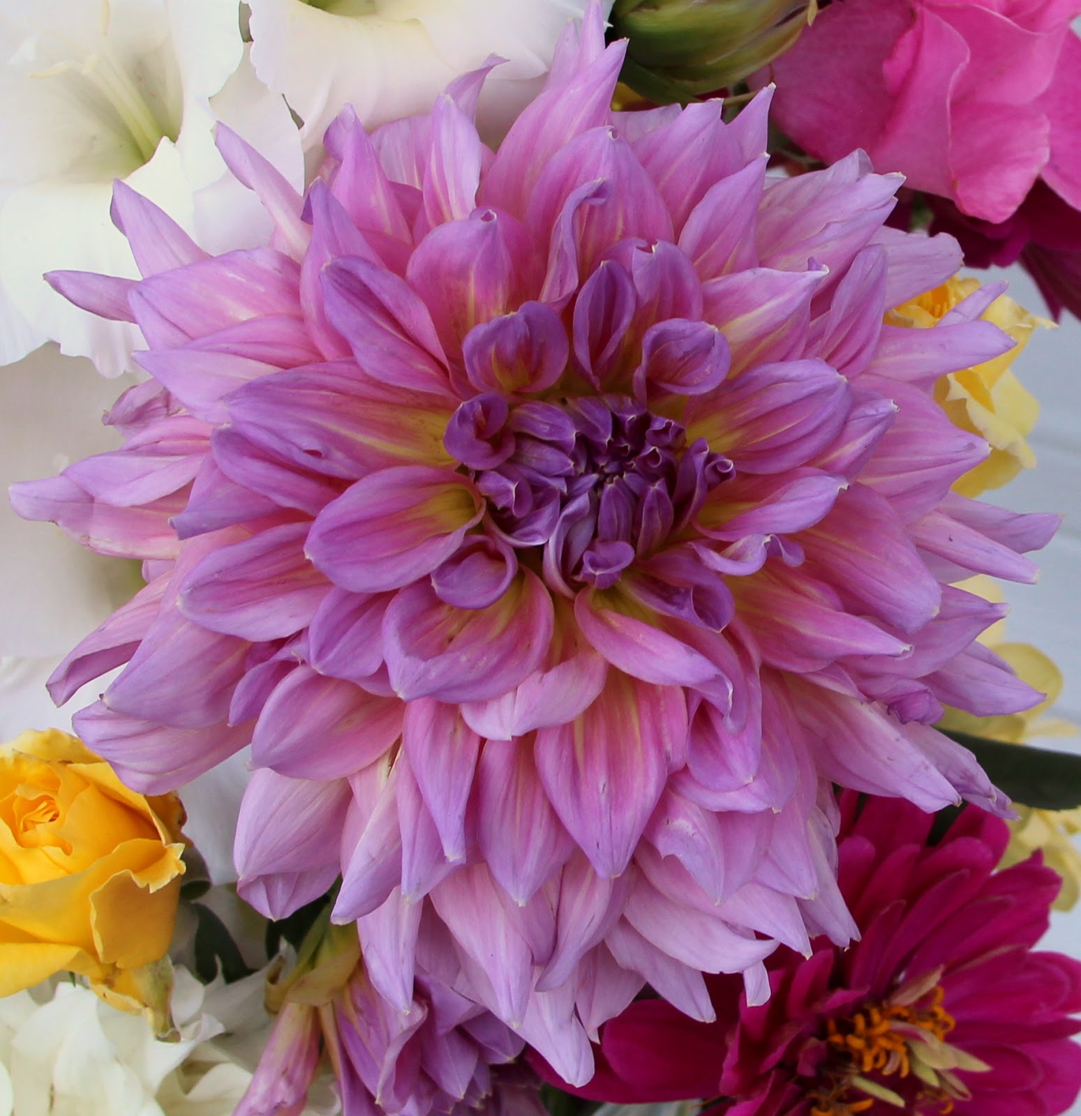 COLORFUL SUMMER ARRANGEMENTS Dinner plate dahlias, roses, Sowing
