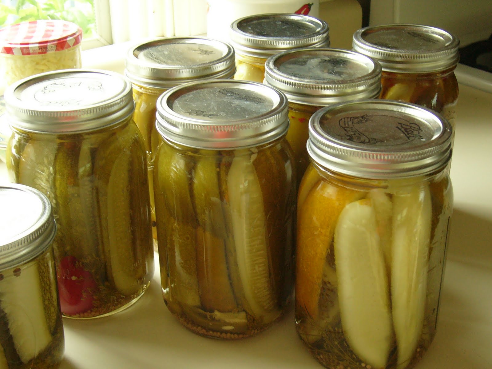 Longhaul Farm Preserving Pickling cucumbers, beans and zucchini