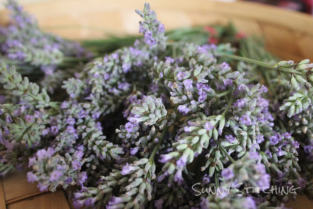 Sunny Stitching: Harvesting Lavender
