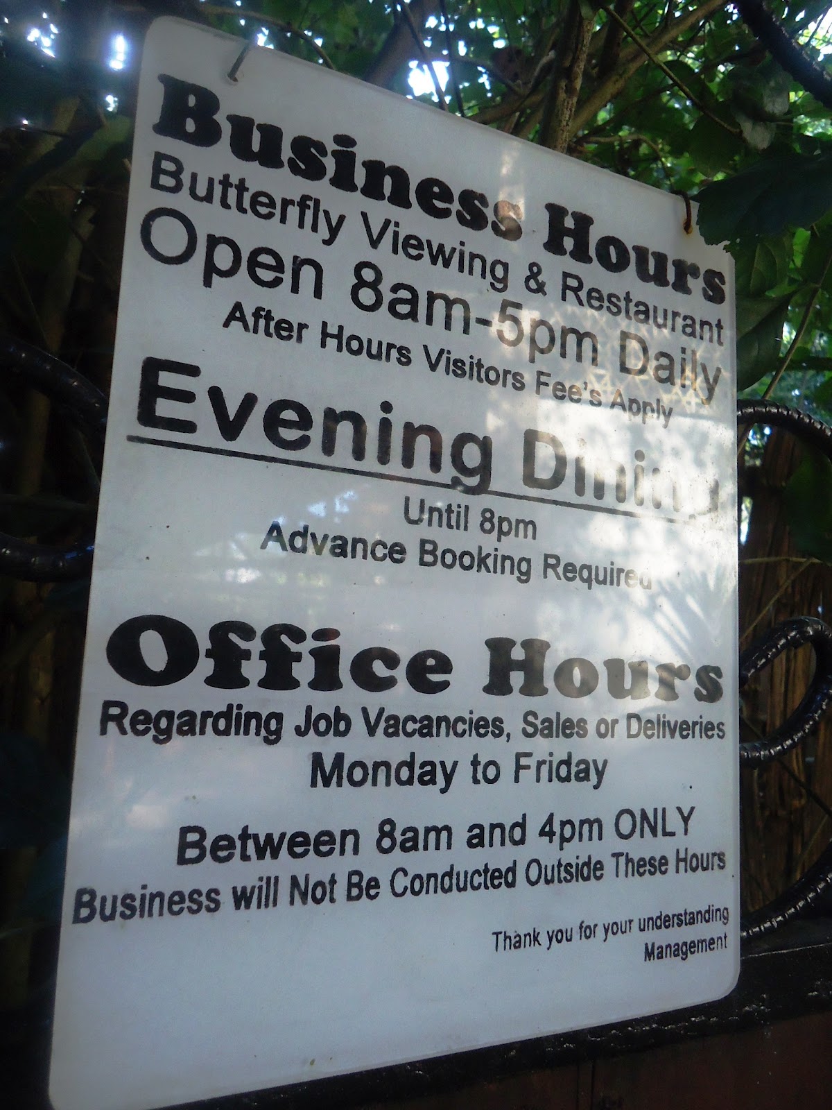 the traveller & her thoughts BUTTERFLY GARDEN (bohol)