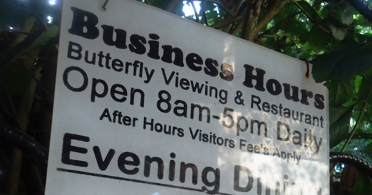 the traveller & her thoughts BUTTERFLY GARDEN (bohol)