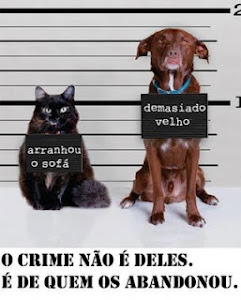 Não abandone o seu ANIMAL!