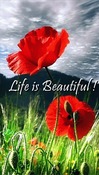 Decent Image Scraps: Life is Beautiful