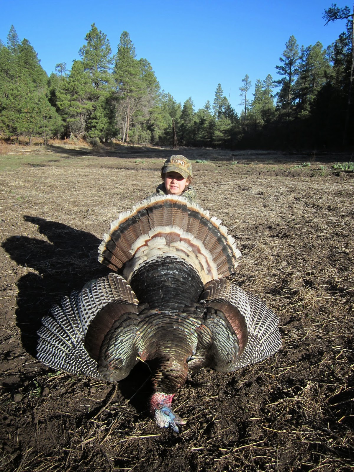 Hunting+Merriams+turkeys+with+shotguns+and+archery+with+Jay+Scott+Outdoors+13.JPG