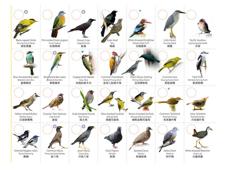 types of birds list types of birds list