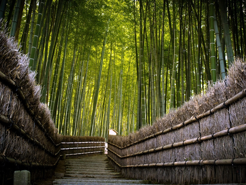 New Best HD Wallpapers 1080p title=