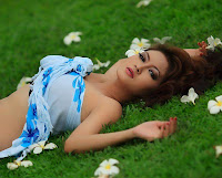 Eating Disorders How and Why They Suffer Eating Disorders How and Why They Suffer