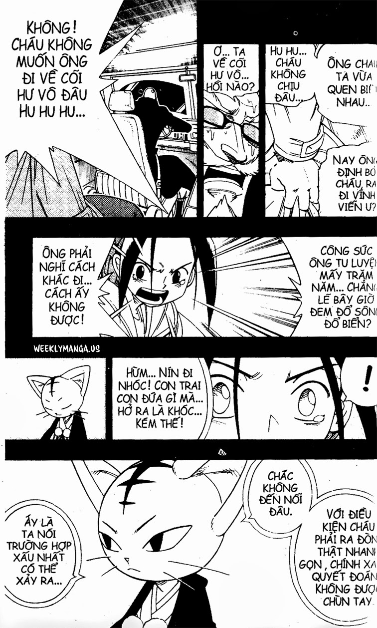 Shaman King [Vua pháp thuật]