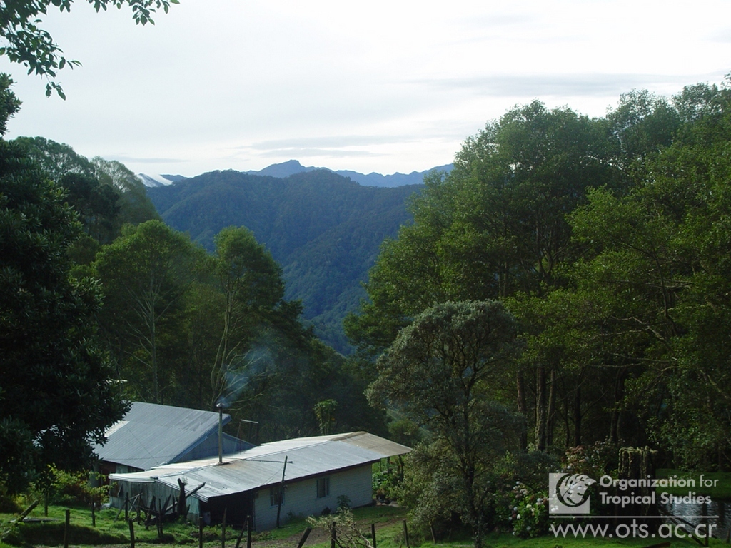 Research internships in Costa Rica