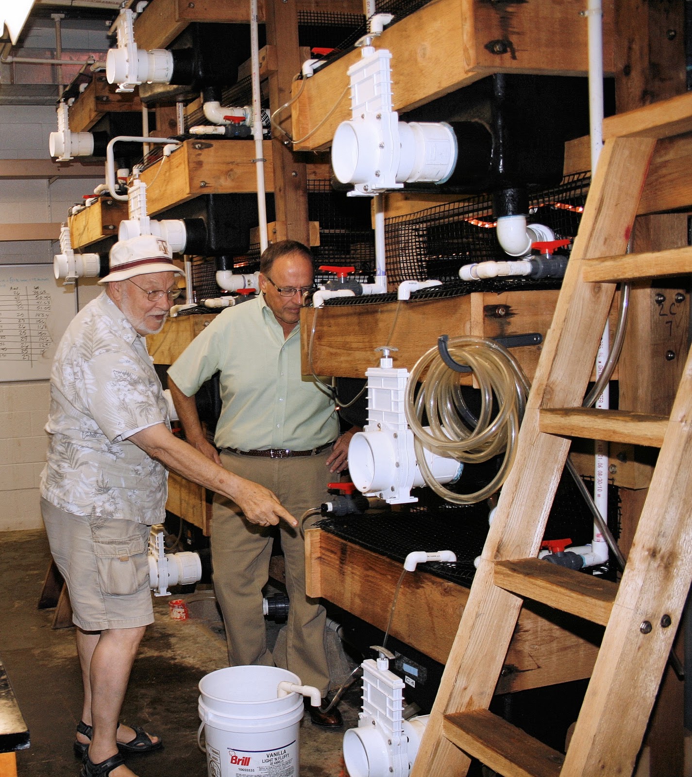 Stacked shrimp farms will enable 1 million pounds of shrimp per acre of