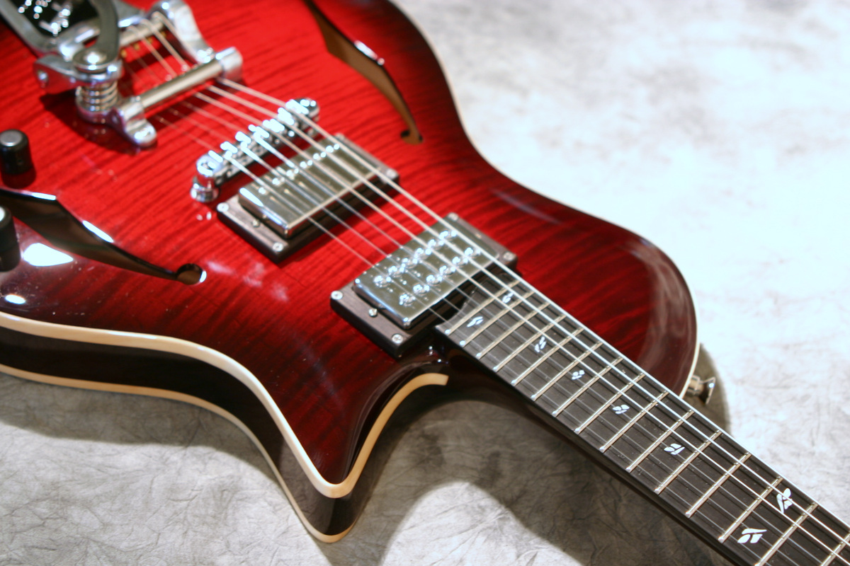 Ziegenfuss Guitars Introducing the ALS Hollowbody