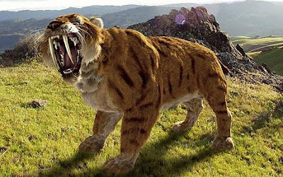 sabre tooth tiger