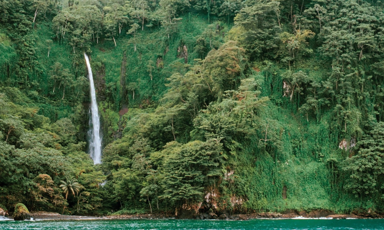 Les Trésors Perdus de France et d'Ailleurs Le fabuleux trésor de l’ile Coco (Coco Island Treasure)