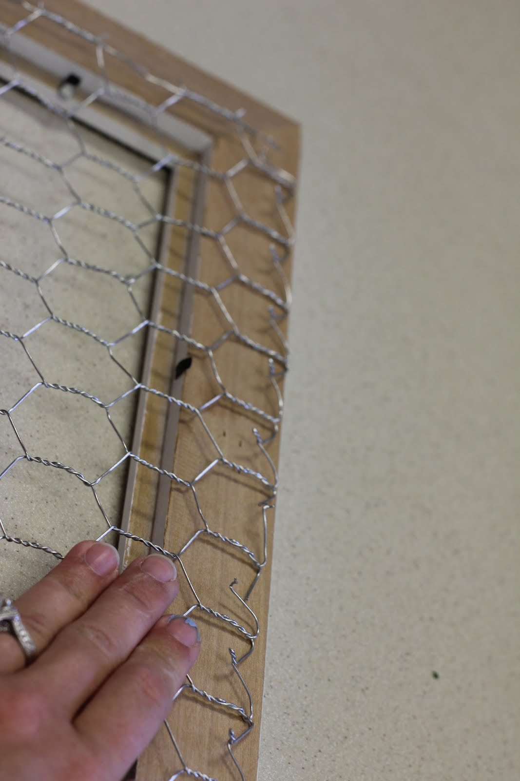 Bridgey Widgey Chicken Wire Frames