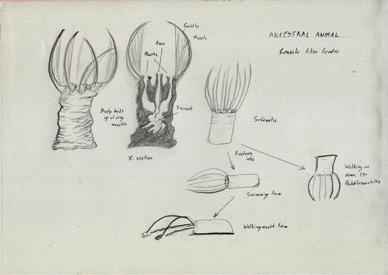 Furahan Biology and Allied Matters An unknown speculative biology