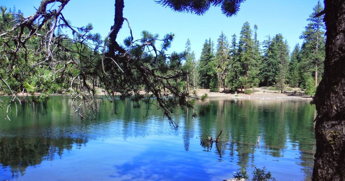 Life With Luci & Loree Scout Lake