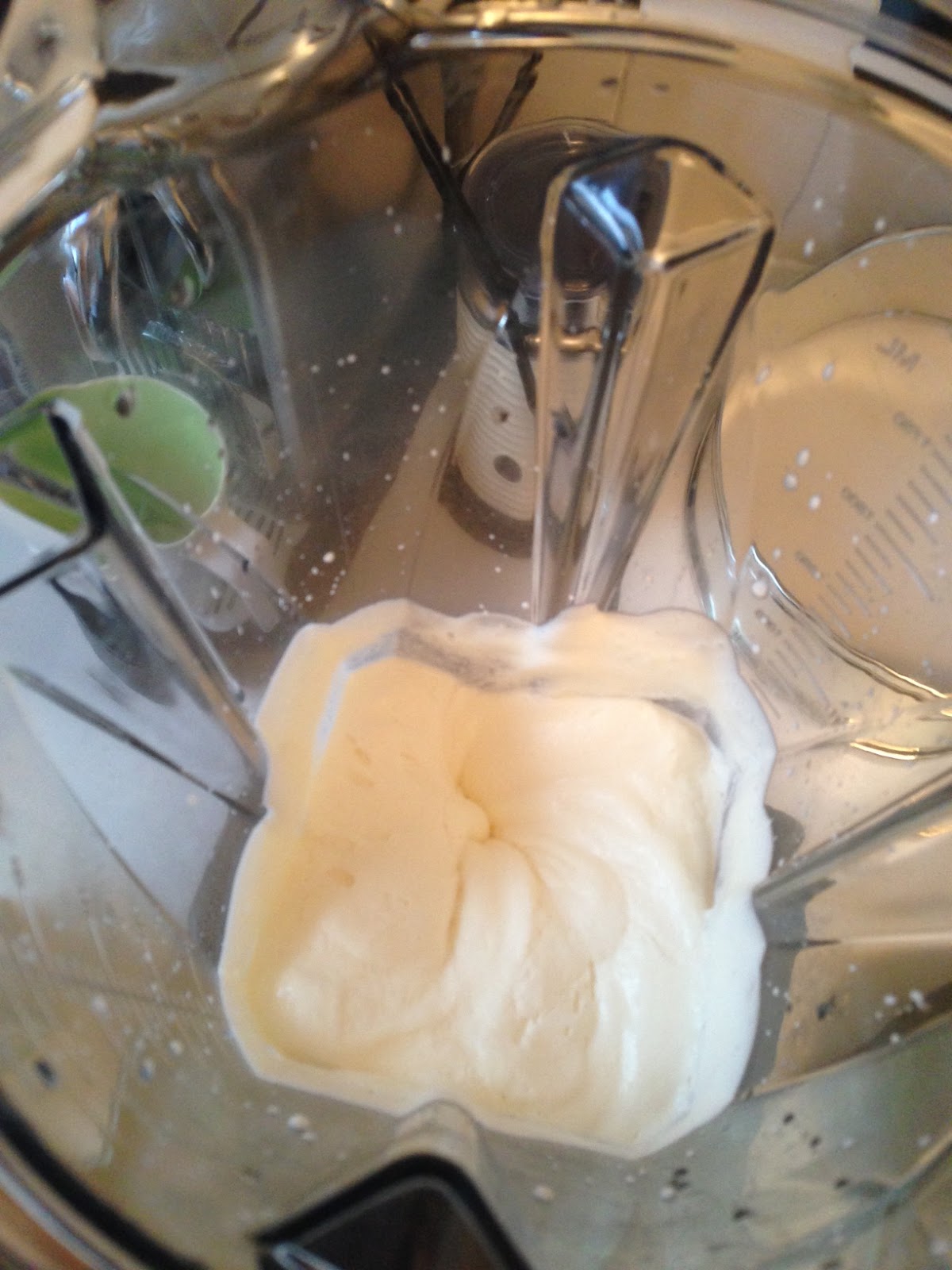 Quick Whipped Cream in Vitamix Modernist Foodie