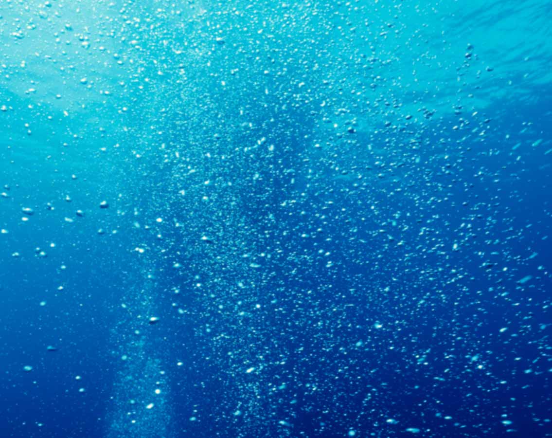 Blue II | Expecto Patronum