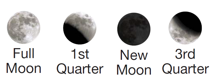 CIUDAD DE CÓRDOBA 3º SCIENCE BLOG: THE MOON PHASES