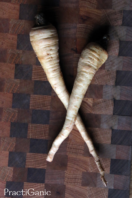  Roasted Parsnip and Horseradish Dip