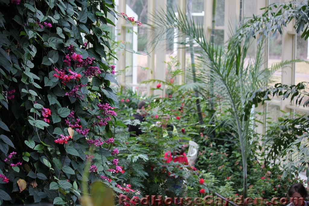 David Bindas Garden Callaway Gardens Butterfly House
