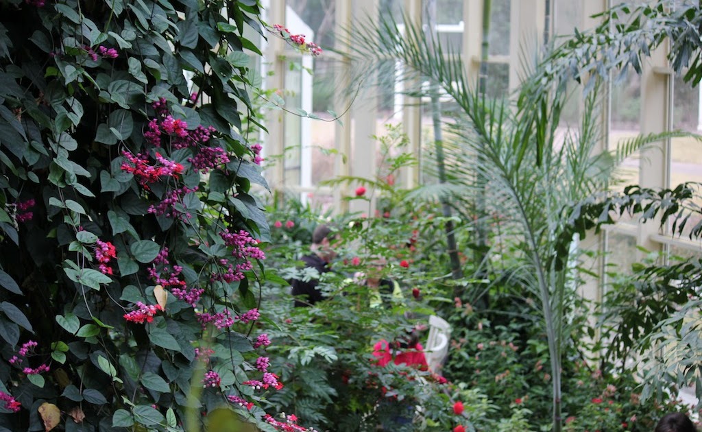 Red House Garden Callaway Gardens Butterfly House