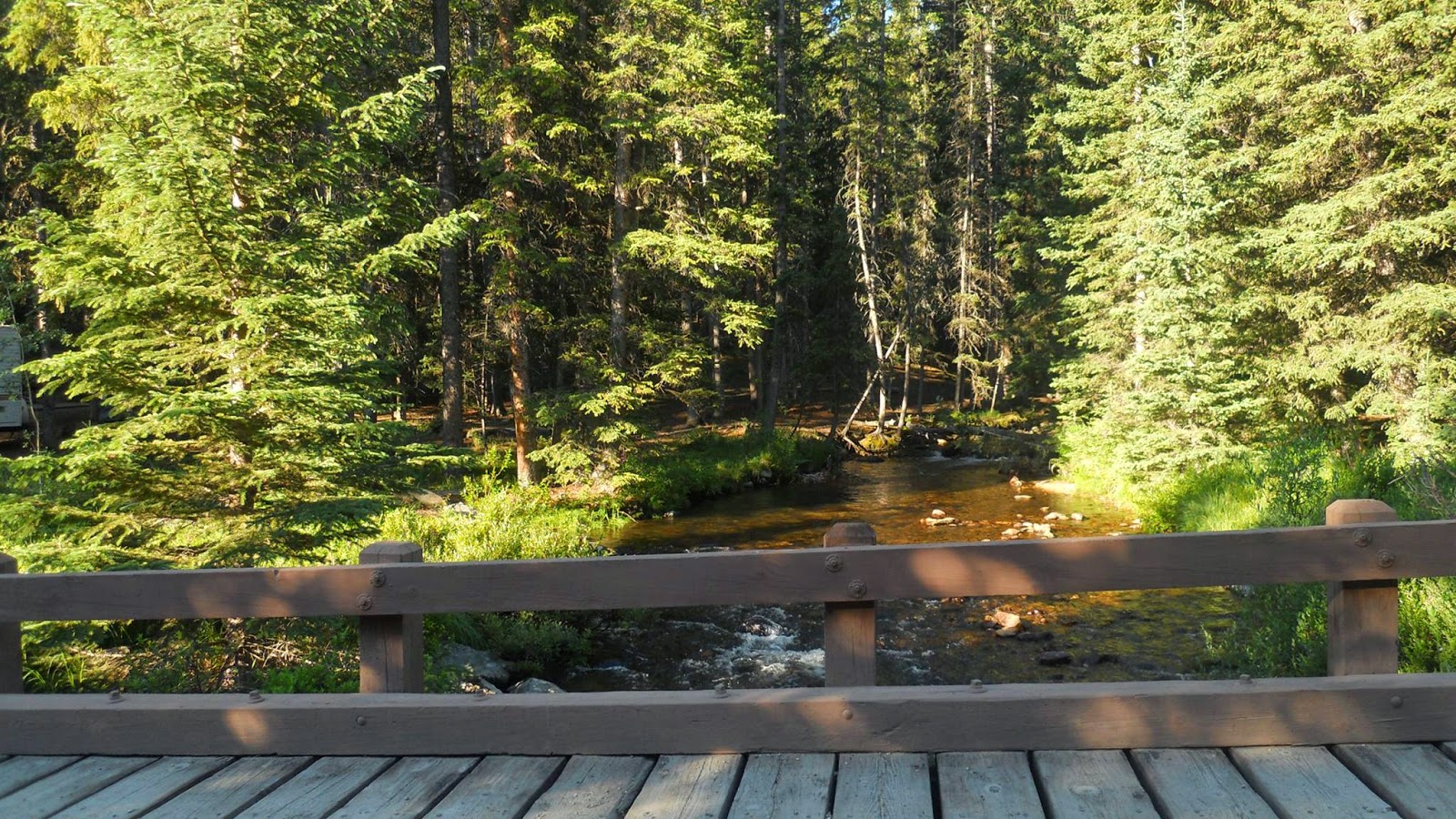 National Forest Camper Middle Fork Campground