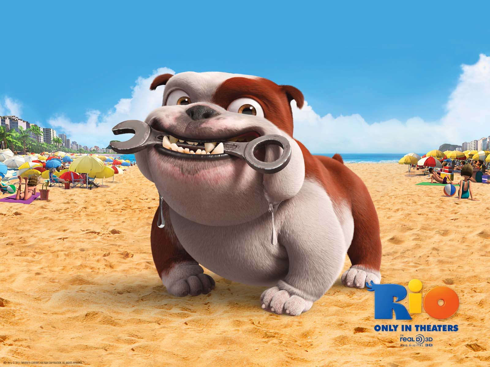 Rio La Pelicula