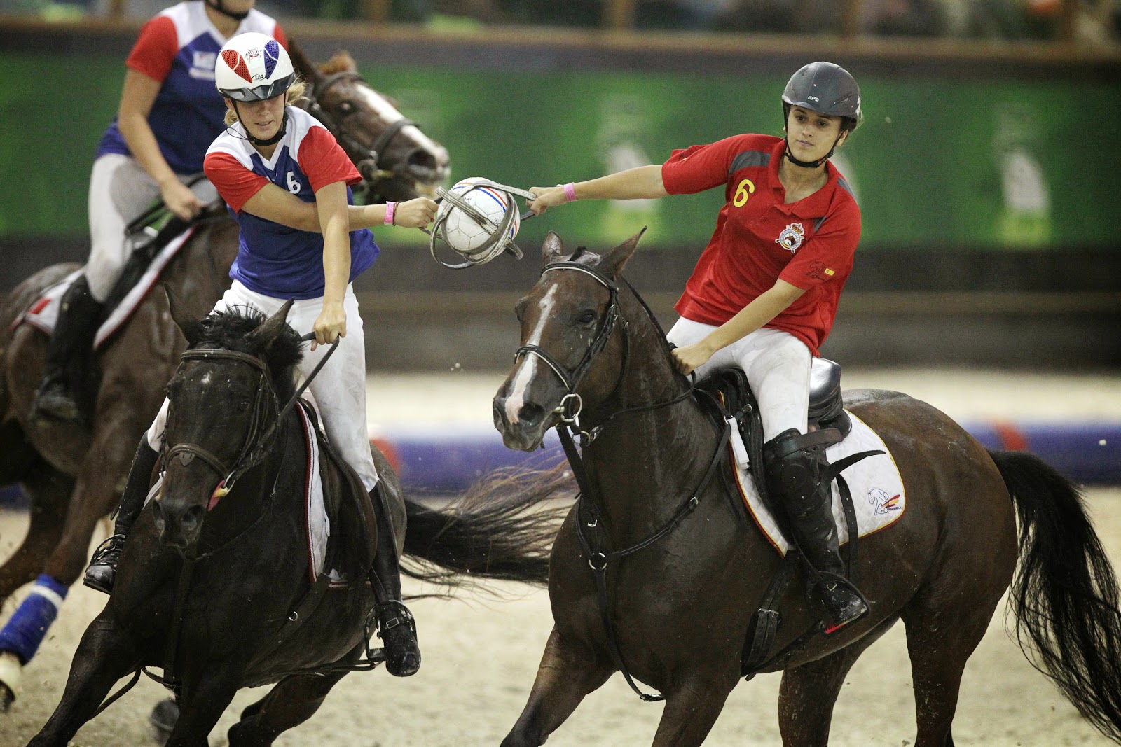 HorseBall game during FEI World Equestrian Games HD Photos