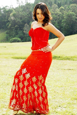 Trisha red gown hot photos