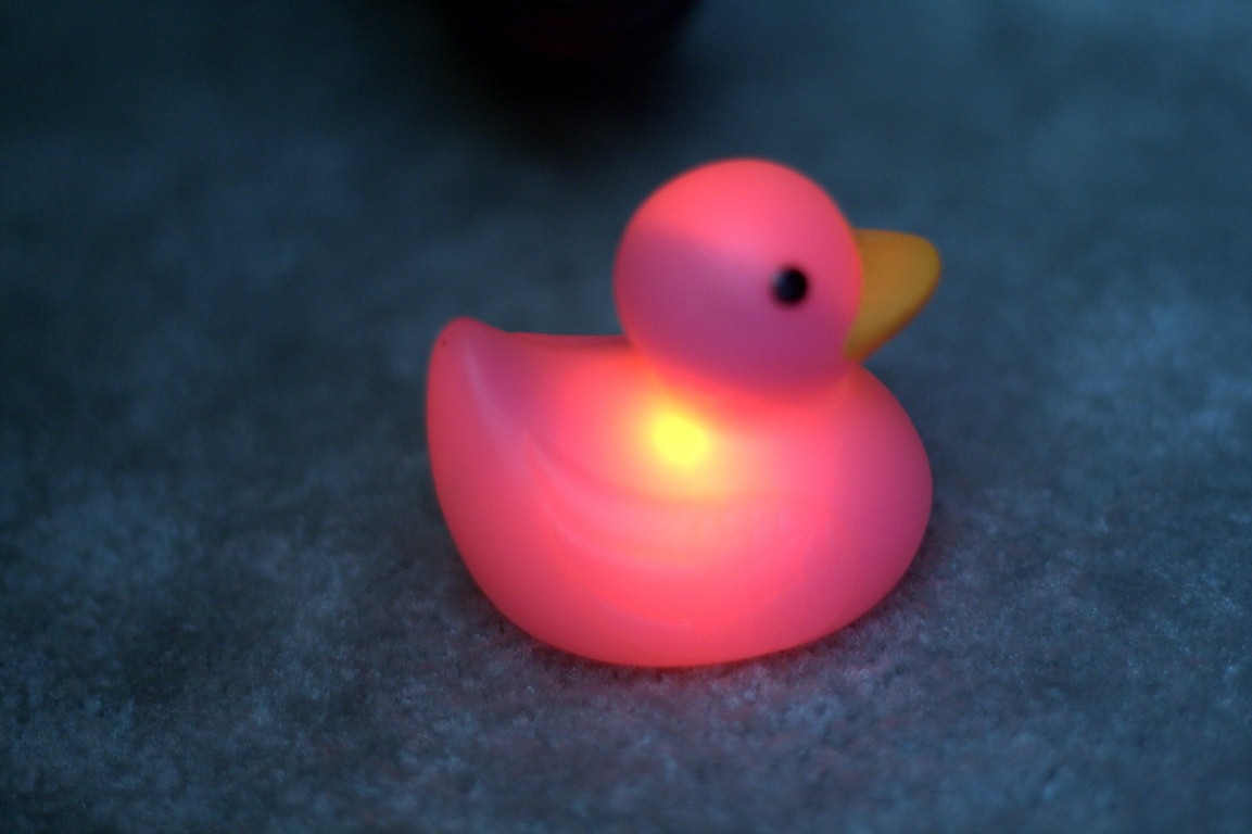 dollarama rubber ducks