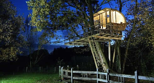 Pupaprinzessin: Casa en un árbol