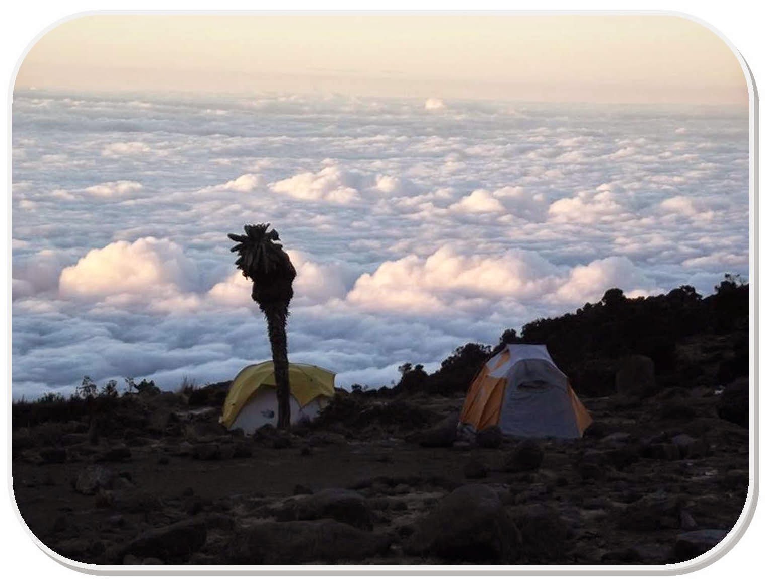 Camping in Kilimanjaro