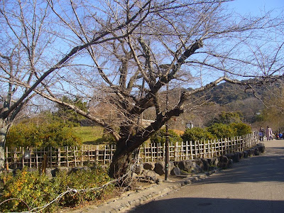 京都市東山区祇園町・八坂神社