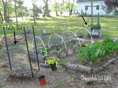 2012 Potato Beds www.chopstitch.blogger.com