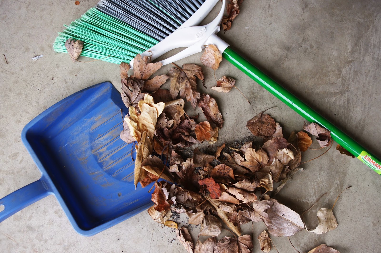 Find The Source Clean It Up Robin Kramer Writes