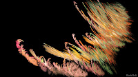 Apophysis