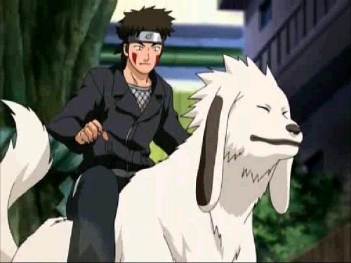 O longo dia de kiba