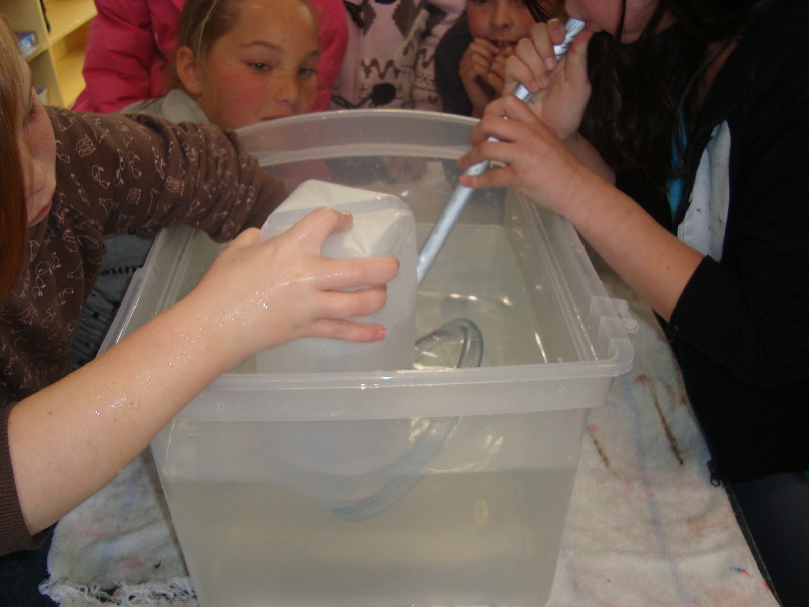 Wonderous One. Where the WISE kids are. Lung Capacity Experiment