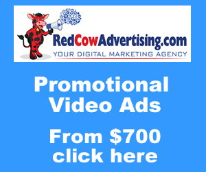 Increase Sales with Promo Video Ads