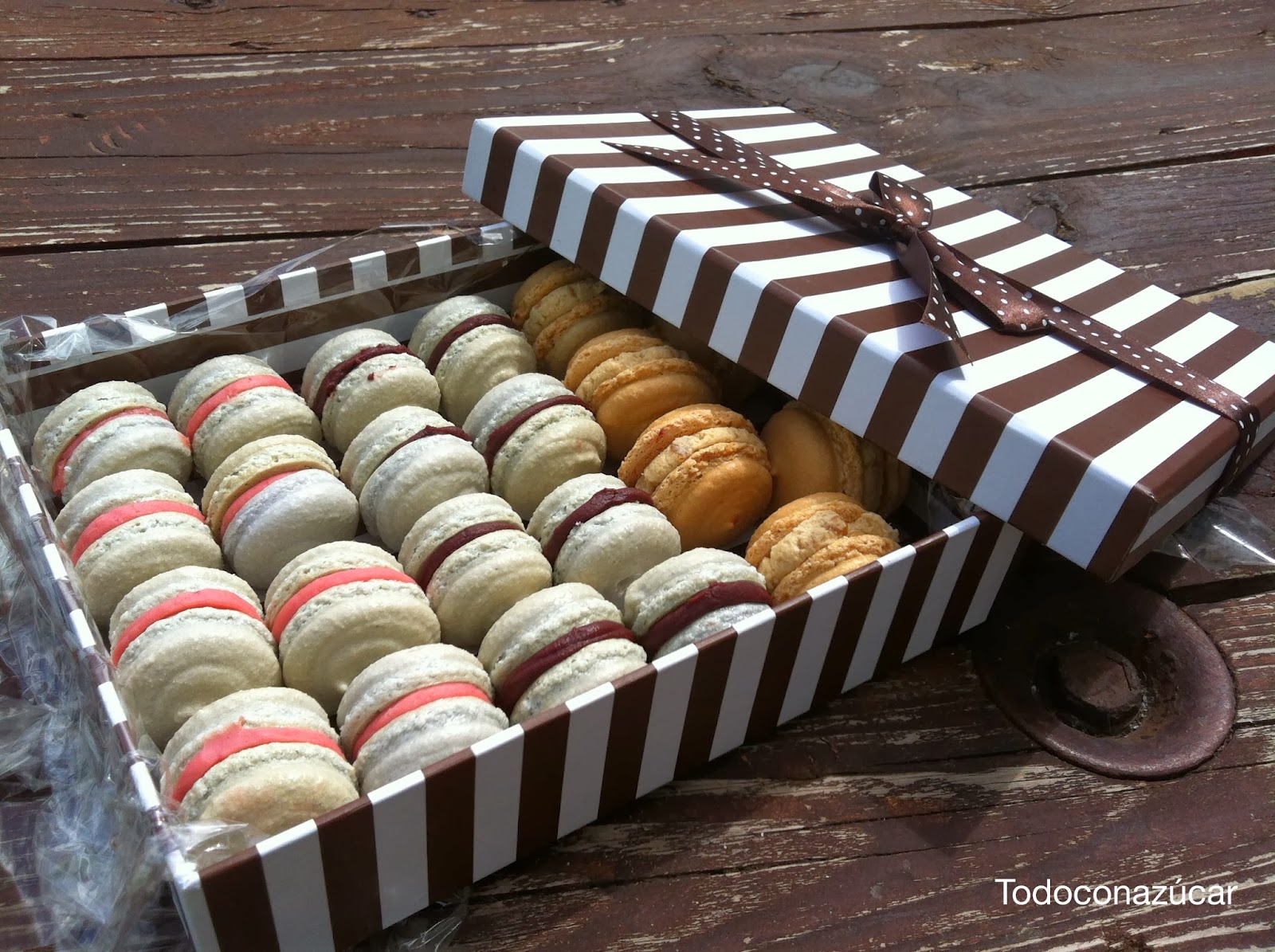 Macarons Fáciles
